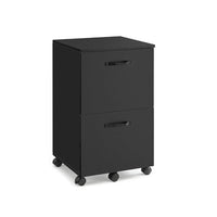2 Drawer Rolling File Cabinet With Lockable Wheels – product view 2 | Amaraloft